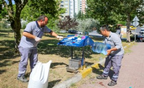 Küçükçekmece Belediyesi patili dostları unutmuyor