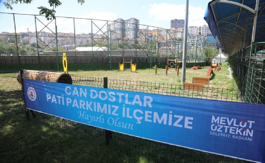 Kağıthane’de patili dostlar için dev proje