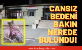 Günlerdir kayıp olan Lina’dan acı haber geldi!