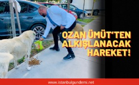 Adalet Partisi İstanbul sessizlerin sesi oldu!