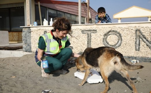 Sarıyer Belediyesi Hatay’da yaşayan hayvanları unutmadı