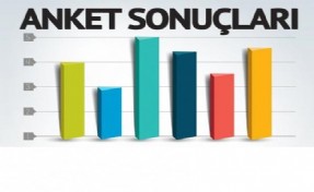 Son ankette dikkat çeken sonuçlar!