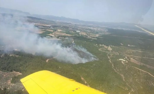 İzmir'de korkutan orman yangını!