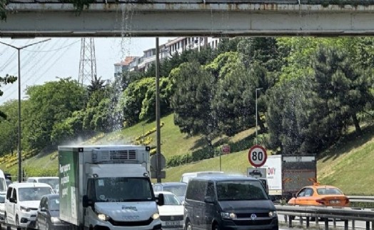 TEM Otoyolu’nda ilginç görüntüler! Sürücüler zor anlar yaşadı