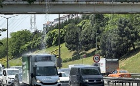 TEM Otoyolu’nda ilginç görüntüler! Sürücüler zor anlar yaşadı