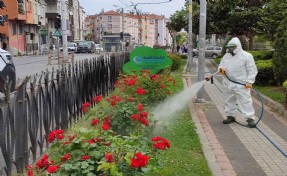 Bağcılar Belediyesi bitlerle mücadelesini sürdürüyor