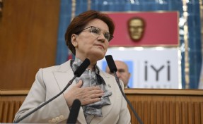 Meral Akşener’den Anayasa Mahkemesi’ne başvuru!